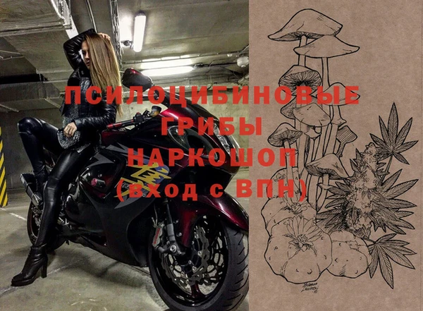 крисы Аркадак