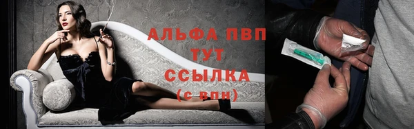 стафф Абинск