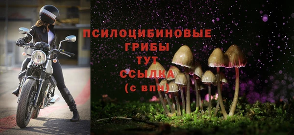 стафф Абинск