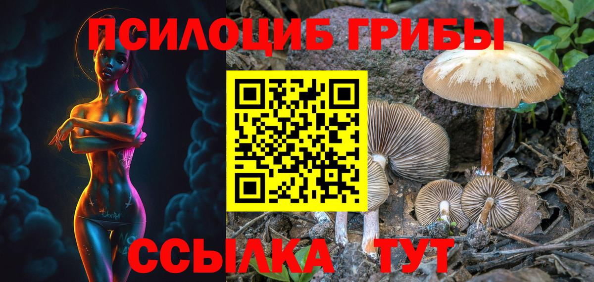 Псилоцибиновые грибы Psilocybine cubensis Фрязино