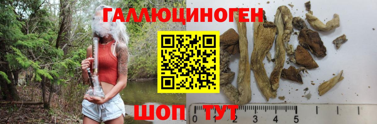 Фрязино  Галлюциногенные грибы Magic Shrooms  Вход с VPN  Псилоцибиновые грибы Cubensis 