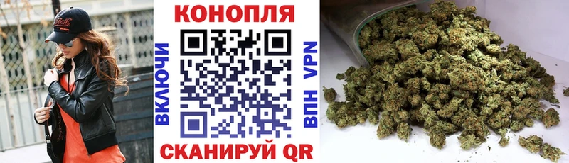 МАРИХУАНА сатива  где найти   Фрязино 