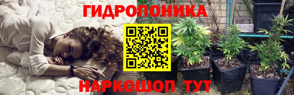 МАРИХУАНА White Widow Фрязино